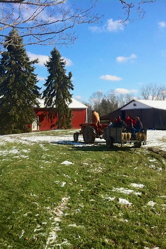 Thanksgiving Day Hayride